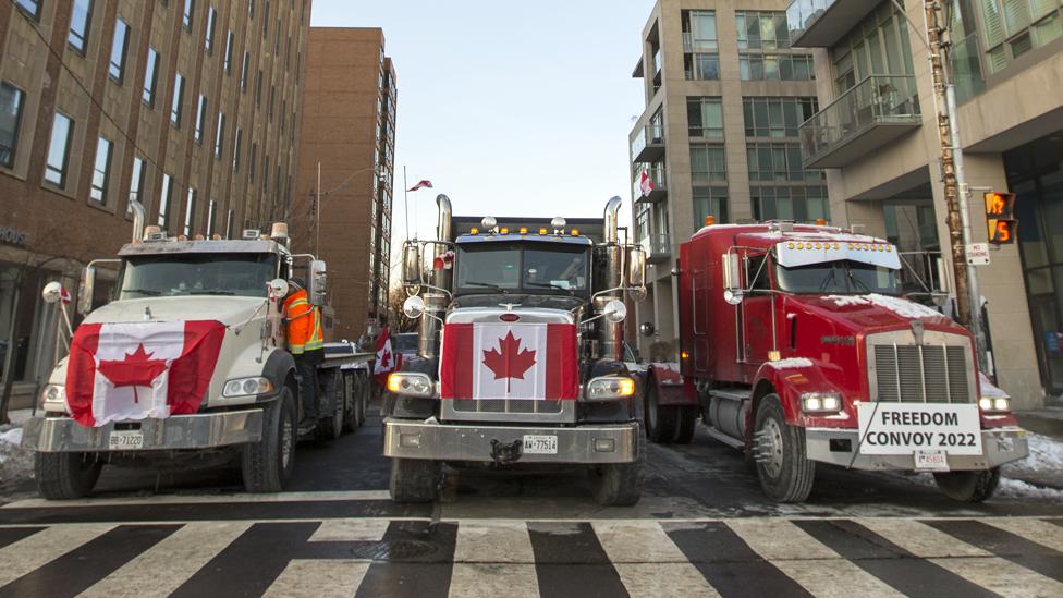 Freedom Convoy leaders’ sentencing judgment delayed, Crown wants them jailed for two years